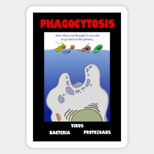 Phagocytosis Sticker